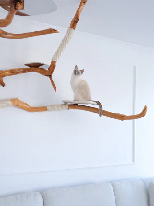 Cat furniture