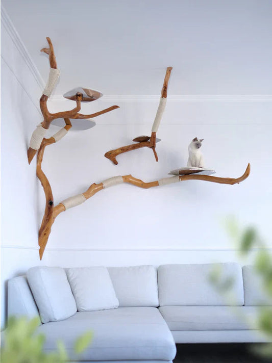 Cat furniture