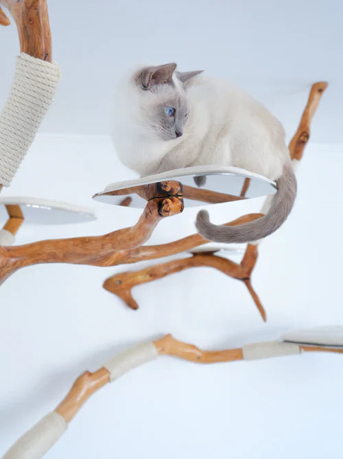 Cat furniture